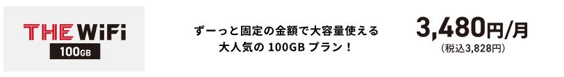 THE WiFi 100GB