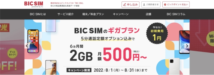 BIC SIM